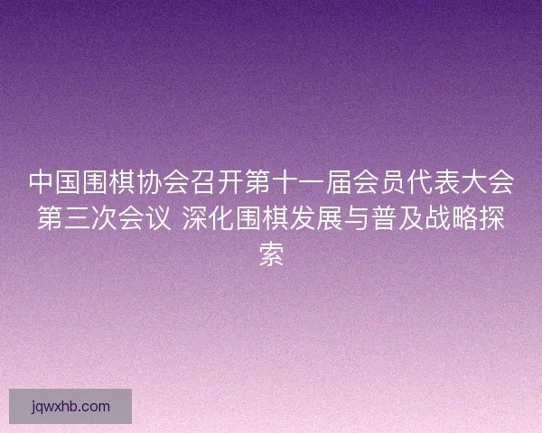 中国围棋协会召开第十一届会员代表大会第三次会议 深化围棋发展与普及战略探索